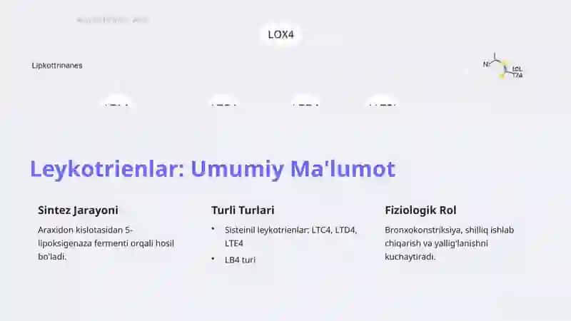 Leykotrien Retseptorlariga Ta'sir Etuvchi Dori Vositalari 3