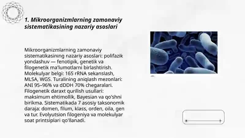 Mikroorganizmlarning zamonaviy sistematikasi 3