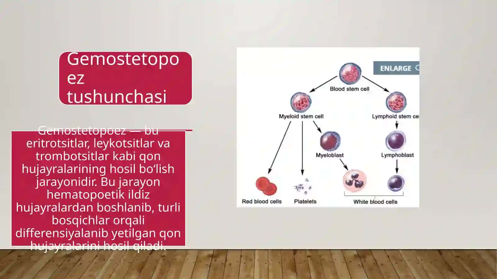 gistalogiya fani mustaqil ish prezentatsiya 3