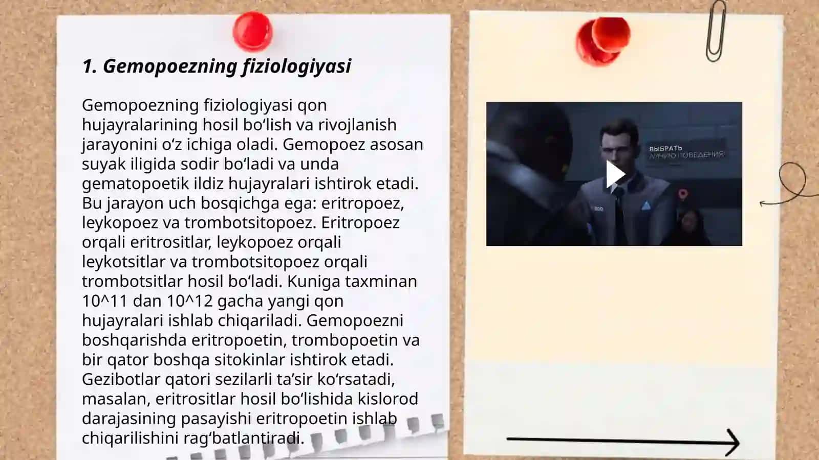 Gemopoezning fiziologiyasi 3