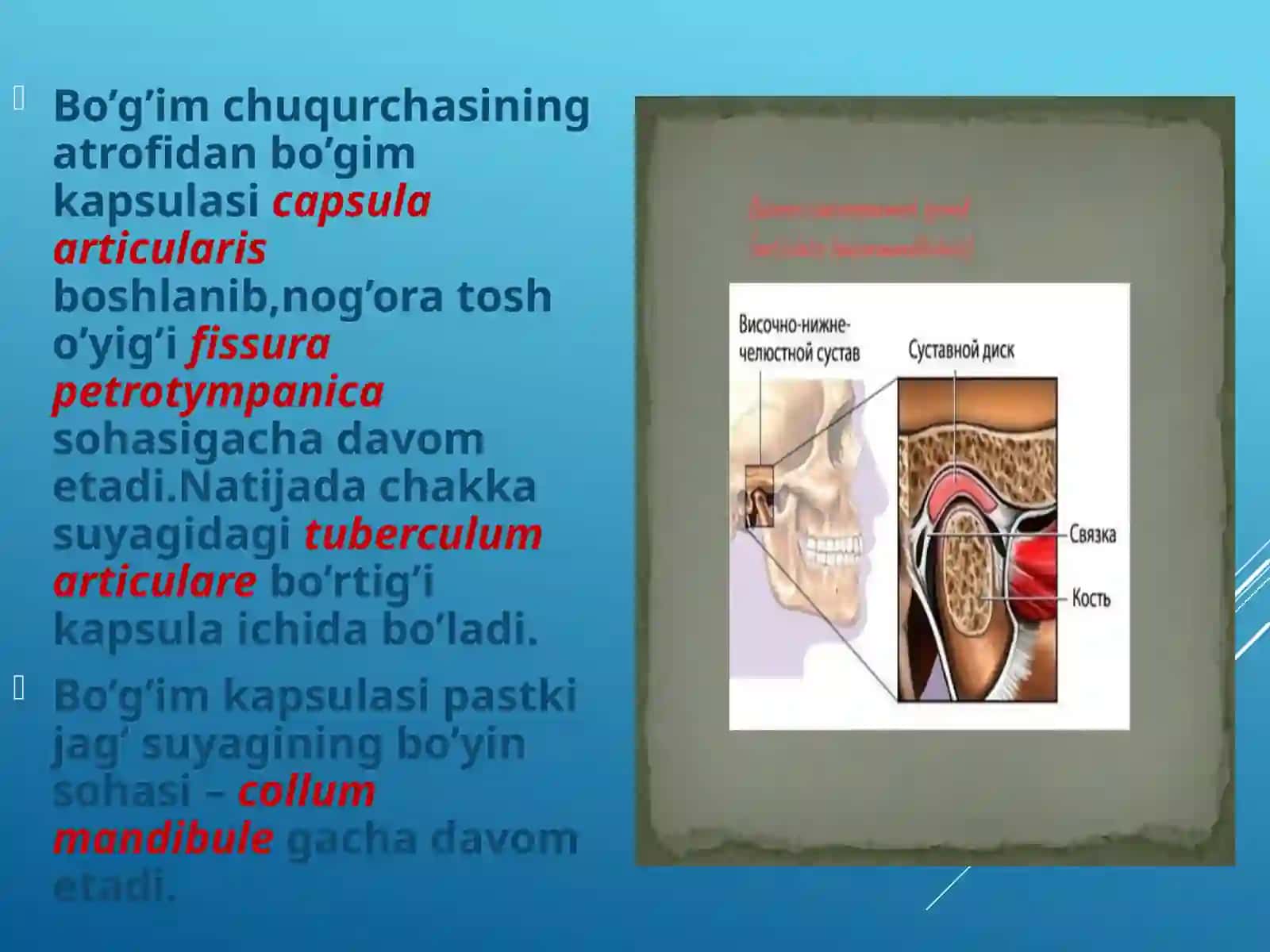 Chakka pastki jag’ bo’g’imining (ChPJB) tuzilish xususiyatlari 3