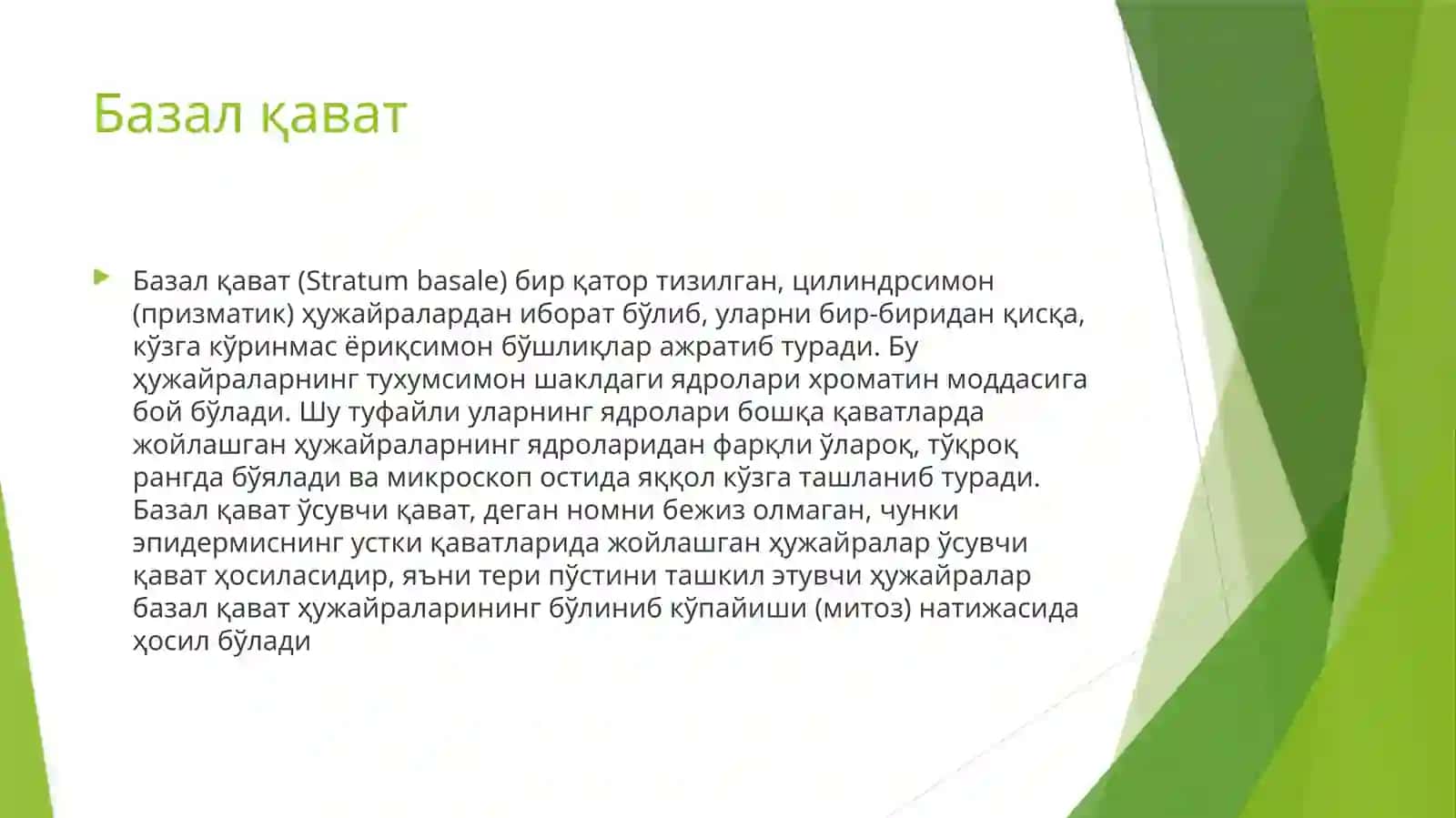 ТЕРИ ЭМБРИОГЕНЕЗИ 3