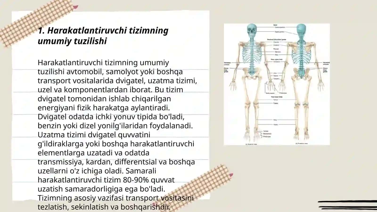 Odam suyaklarning xilma-xilligi tuzilishini òrganish 3