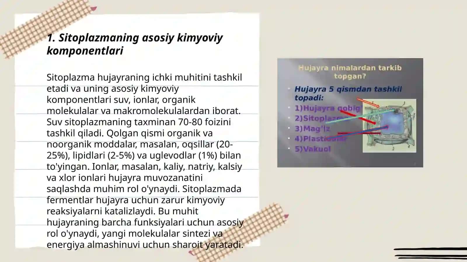 Sitoplazma,uning kimyoviytarkibi va fizik xossalar 3