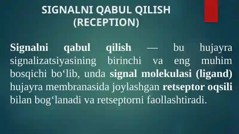 Signallarni membrana orqali oʻtkazish.Membranalar buzilishlarini patalogik jarayonni kelib chiqishidagi oʻrni. Mitaxondrial kasalliklar. Gipoenergetik holatlar 3