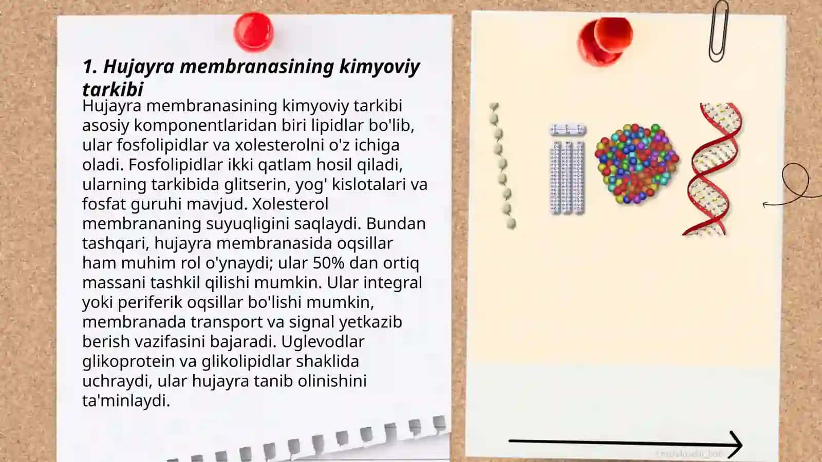 Hujayralarning kimyoviy tarkibi 3