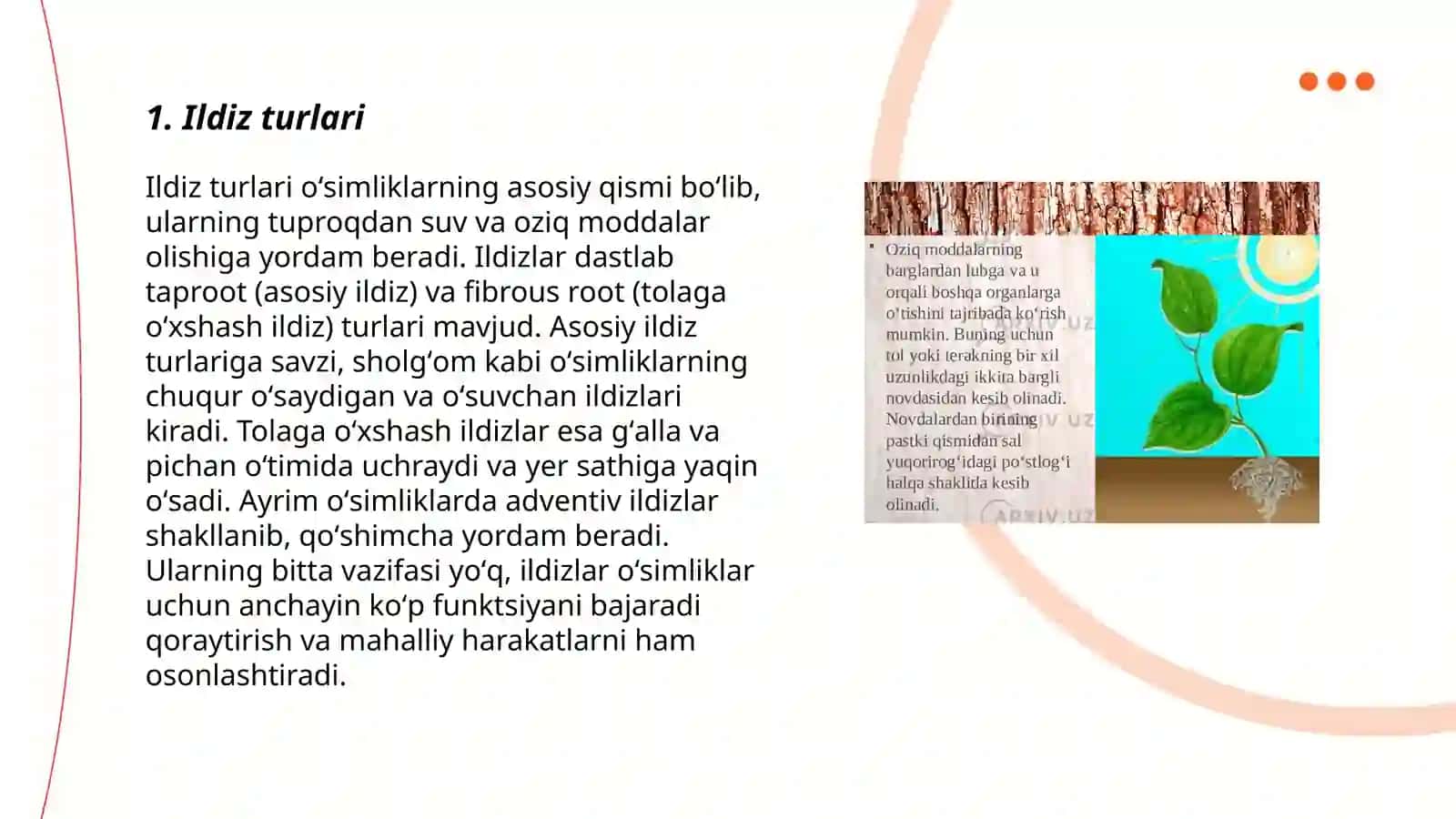 Ildiz turlari 3
