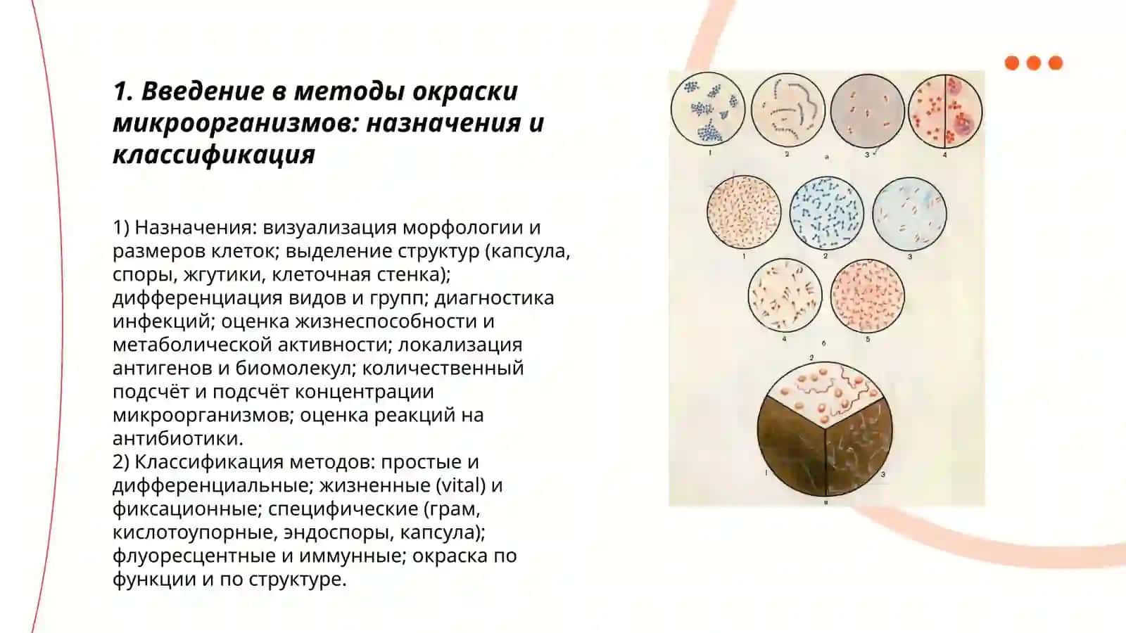 Методы окраски микроорганизмов: от простых к сложным 3