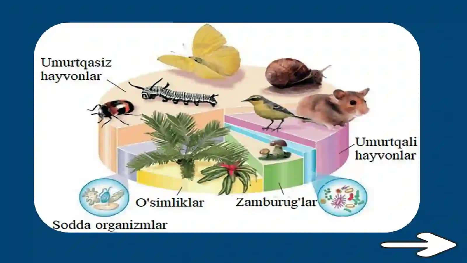 BIOLOGIYA– HAYOT HAQIDAGI FAN 3
