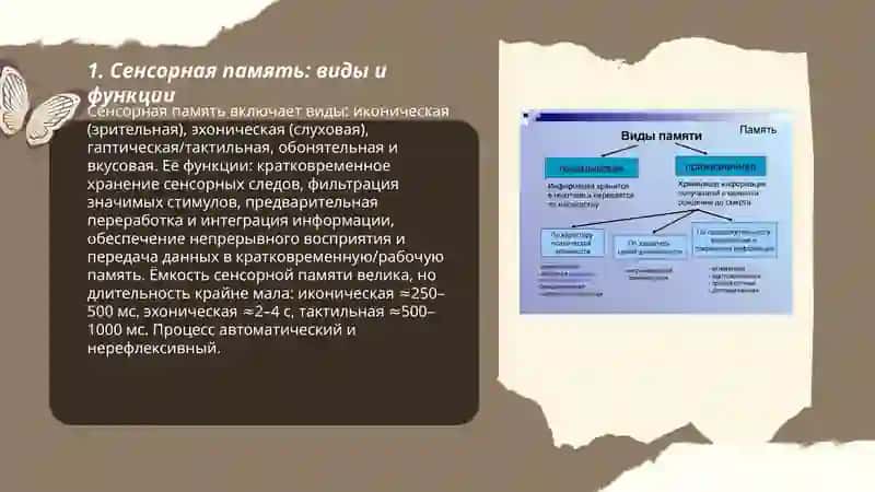 Память и её виды 3