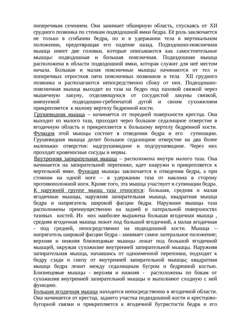 Мышцы и фасции нижней конечности 3