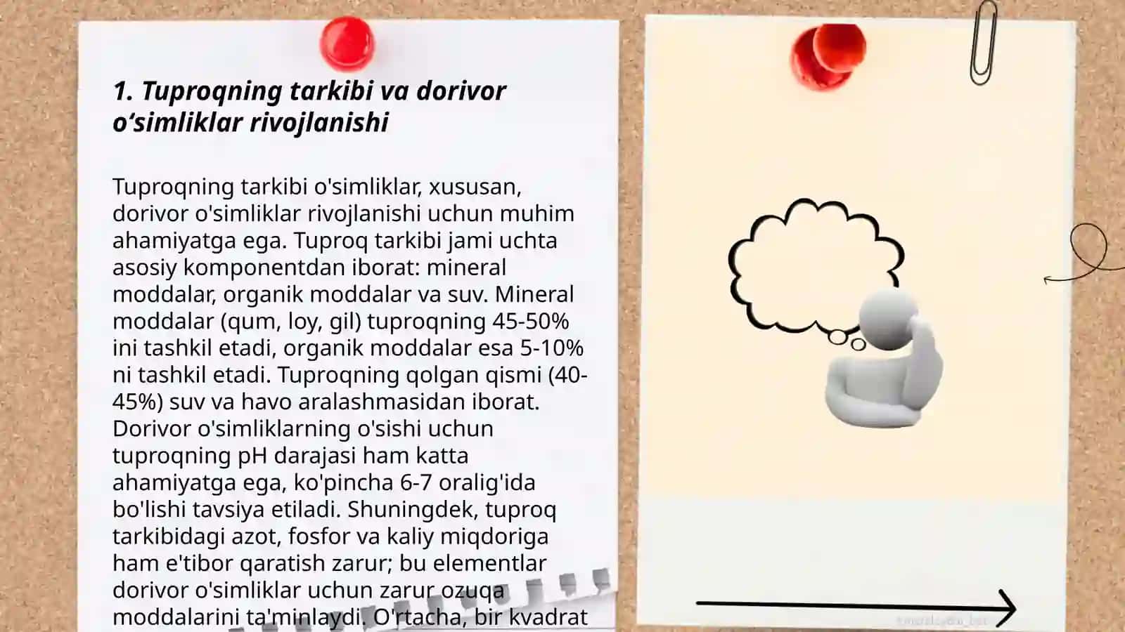 Dorivor oʻsimliklarni oʻsib rivojlanishida ekologik va antropogen taʼsirini oʻrganish 3