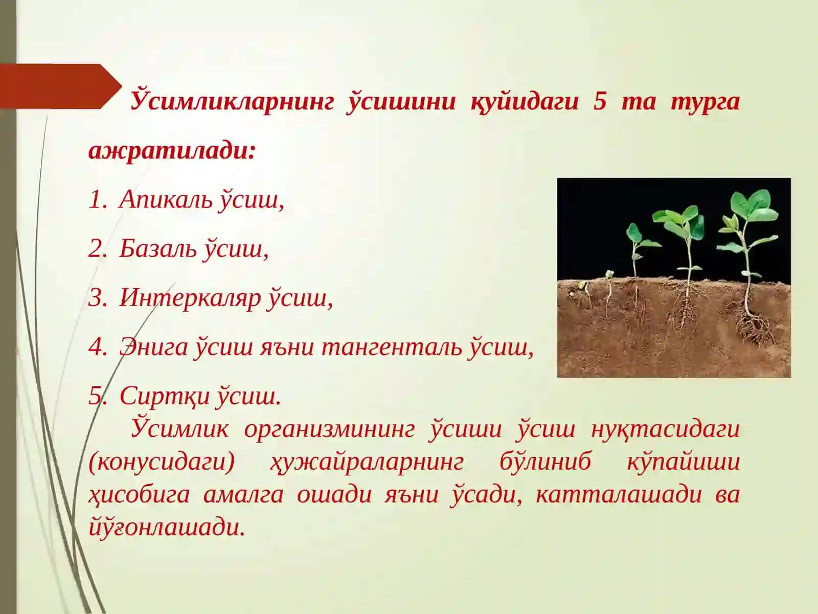 Ўсимликшуносликда стимуляторларни қўллашнинг биотехнологик асослари 3