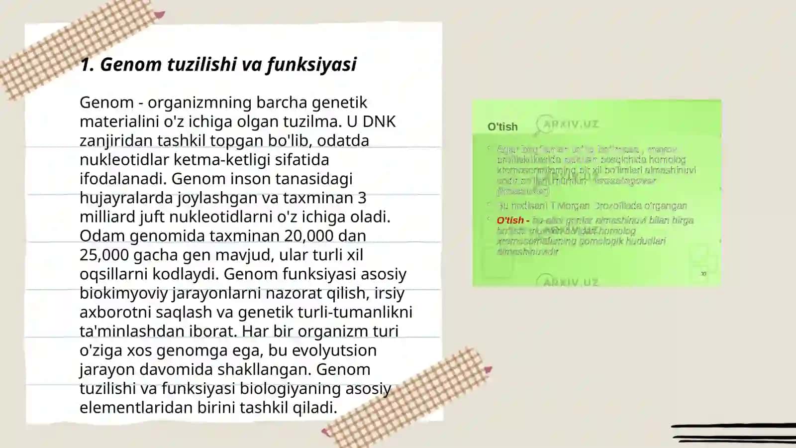 Odamlar genetikasi: Sitogenetik metod 3