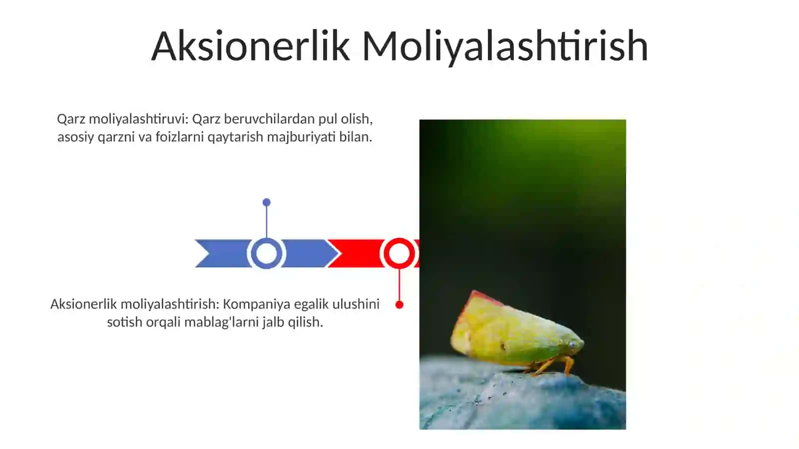 Investitsiya faoliyatini moliyalashtirish manbalari va ularning tarkibi 3