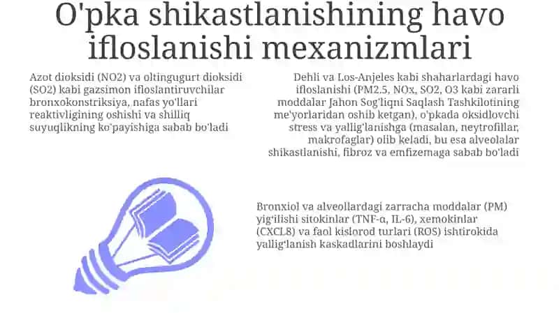 Havo ifloslanishining òpka patologiyasidagi ahamiyati, patologik fiziologiya fanidan 3