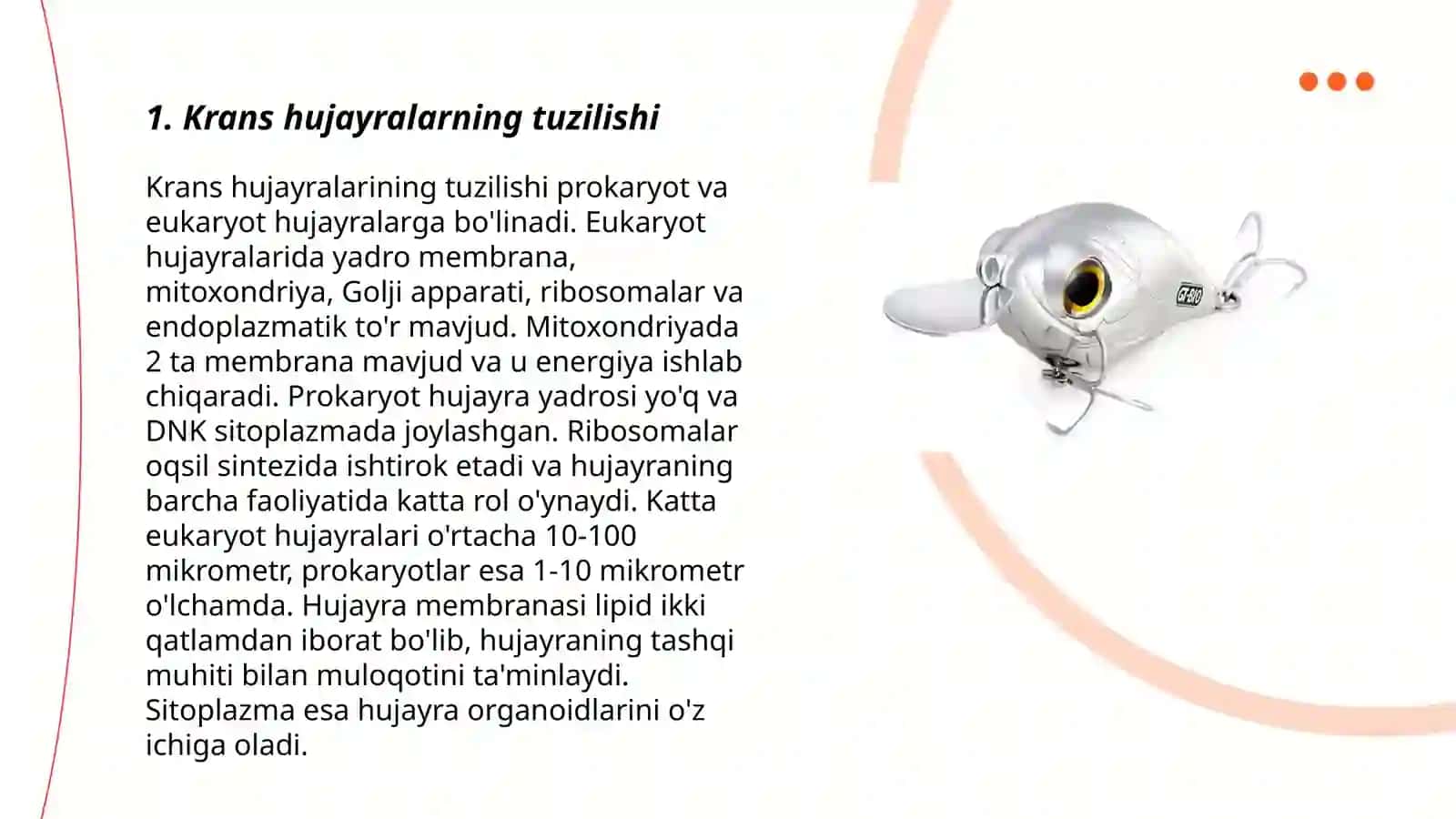 Krans hujayrali va krans hujayrasiz barglarning mezofilining tiplari 3
