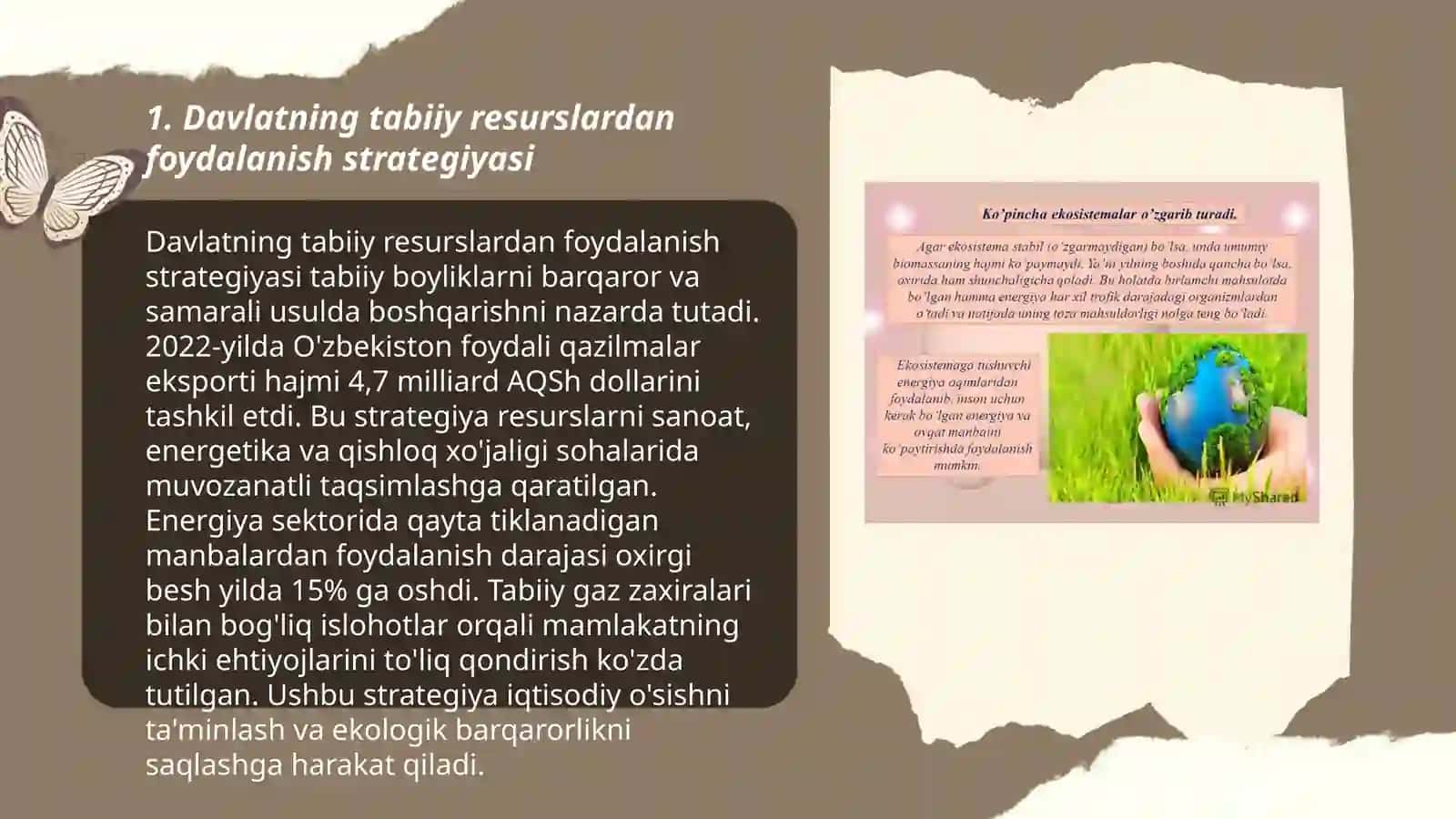 Davlatning tabiiy resurslardan foydalanish strategiyasi 3