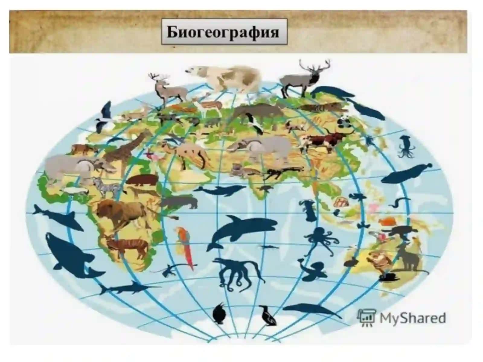 Biogeografiya fanining maqsad va vazifalari, obyekti va predmeti 3