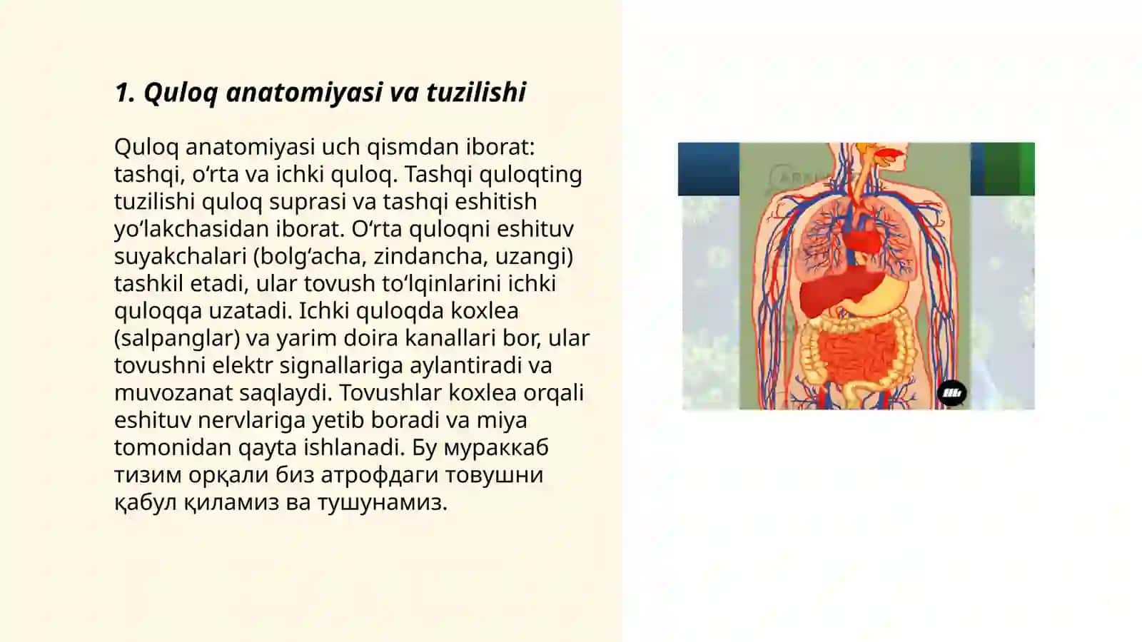 Quloq shikastlari va kasalliklari 3