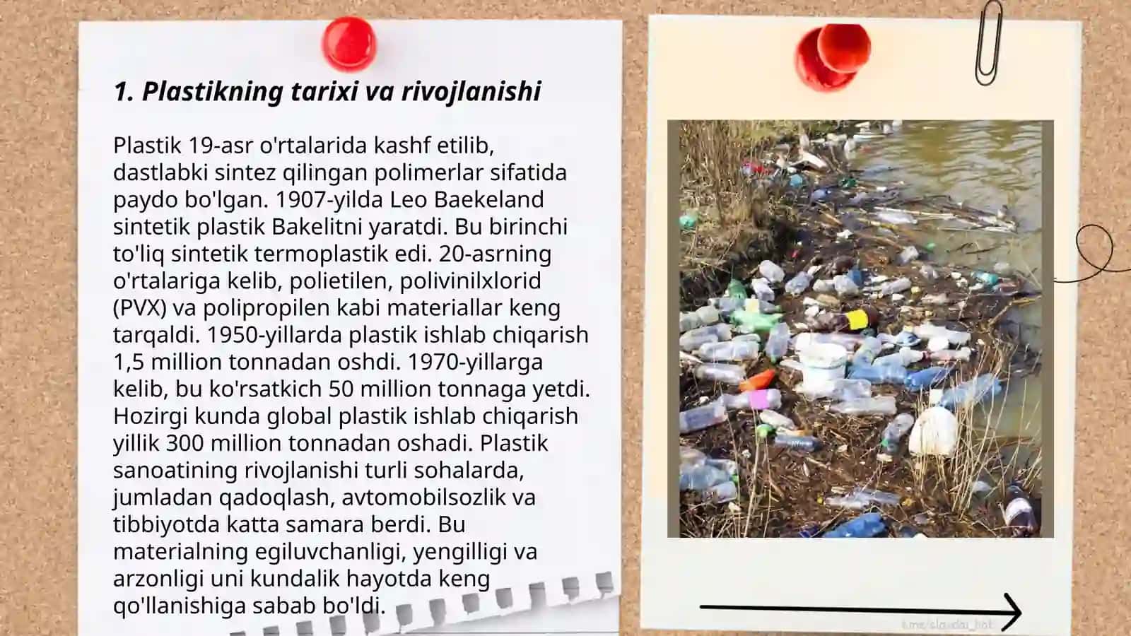 Ekologik muammolar: Plastiklar - hayotimizdagi yengillikmi yoki fojia? 3