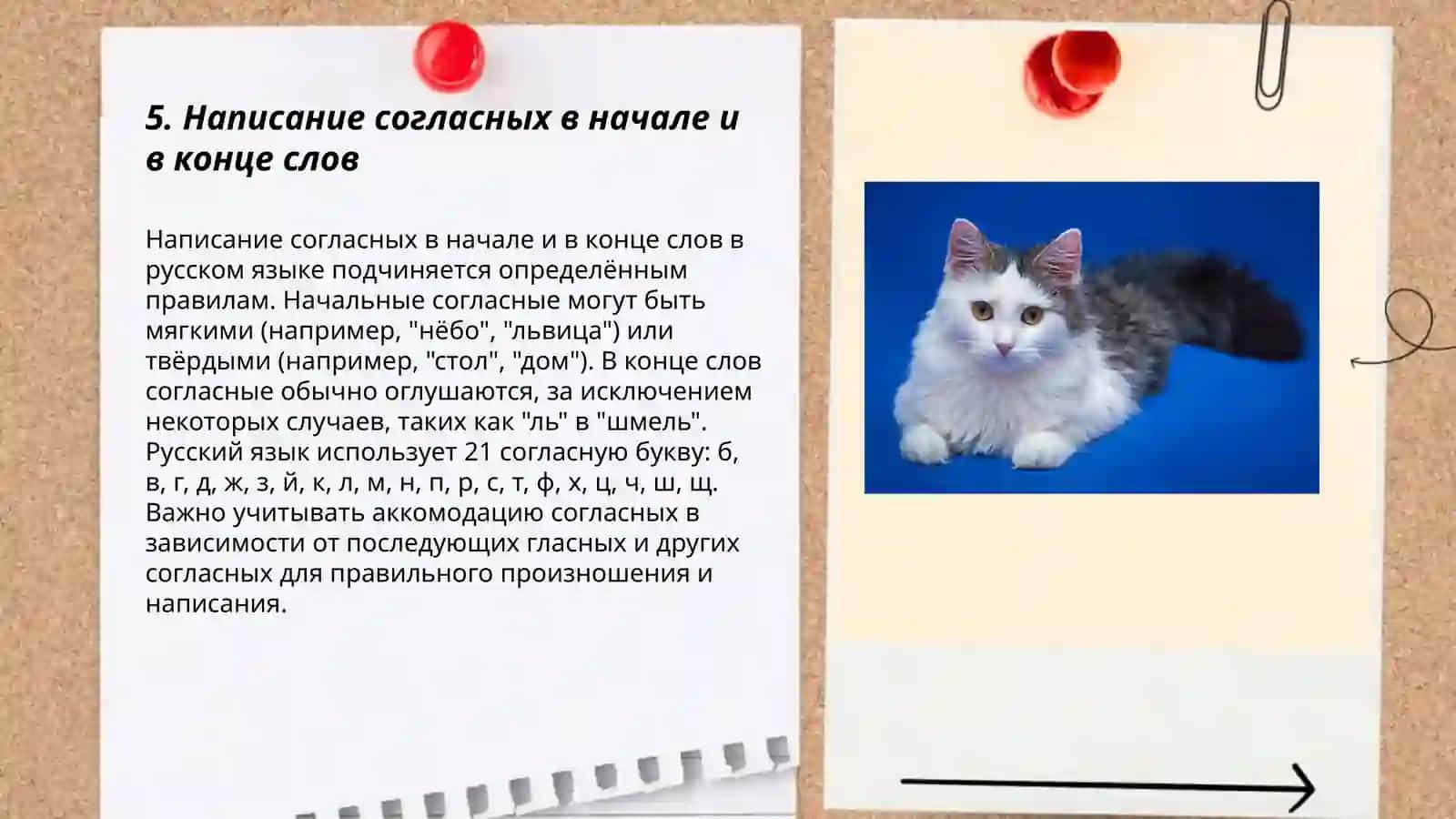 Синонимы. Антонимы. Паронимы 3