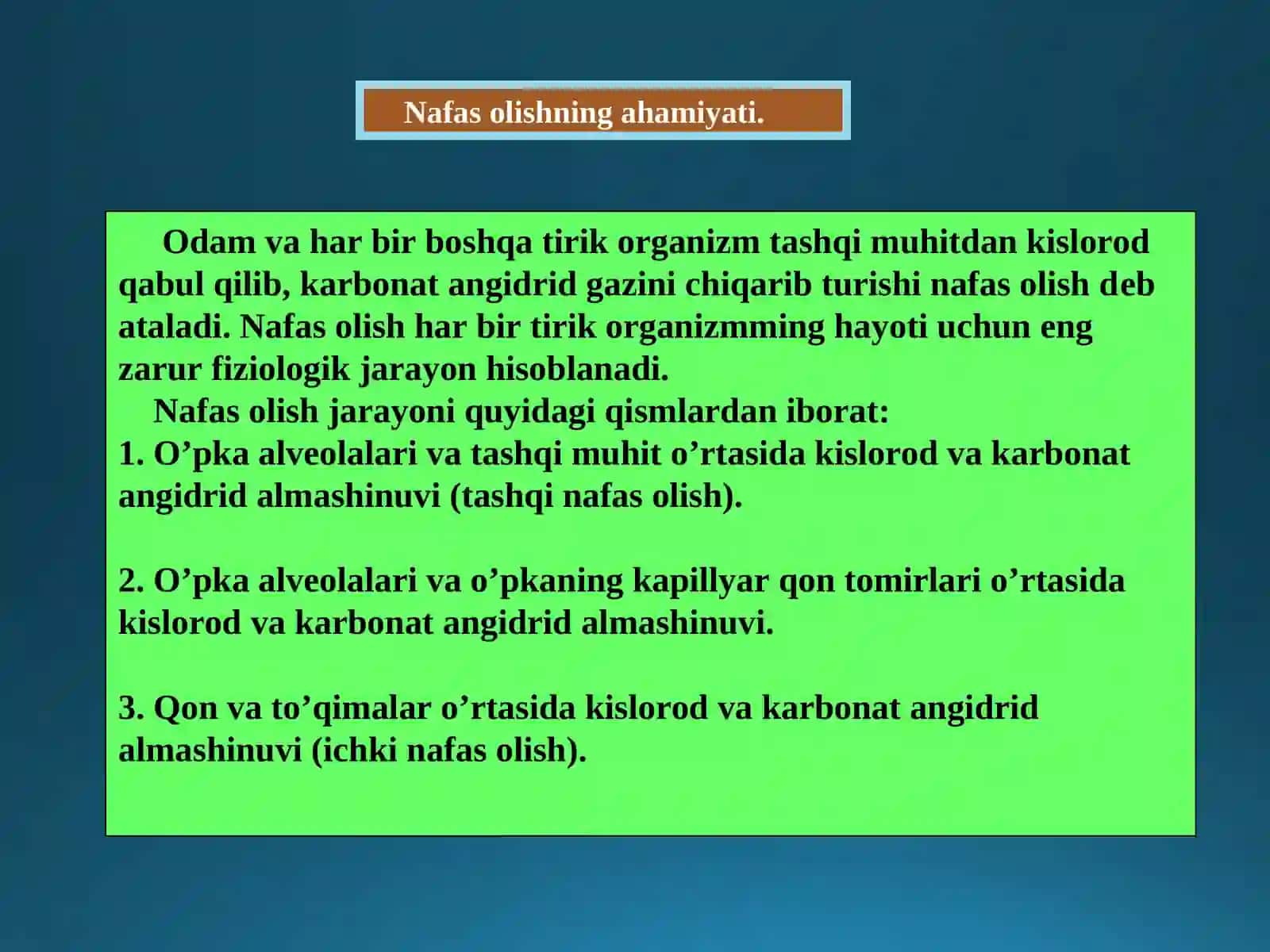 Nafas tizimi 3