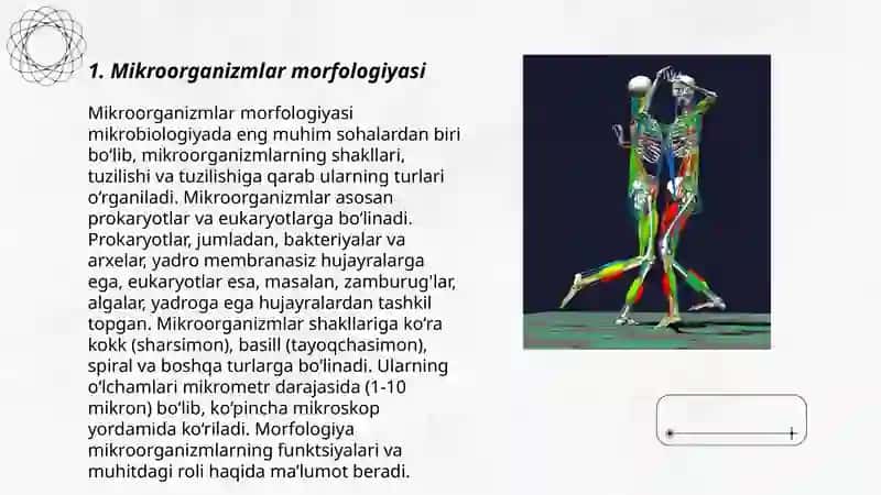 Mikro organizm fiziologiyasi 3