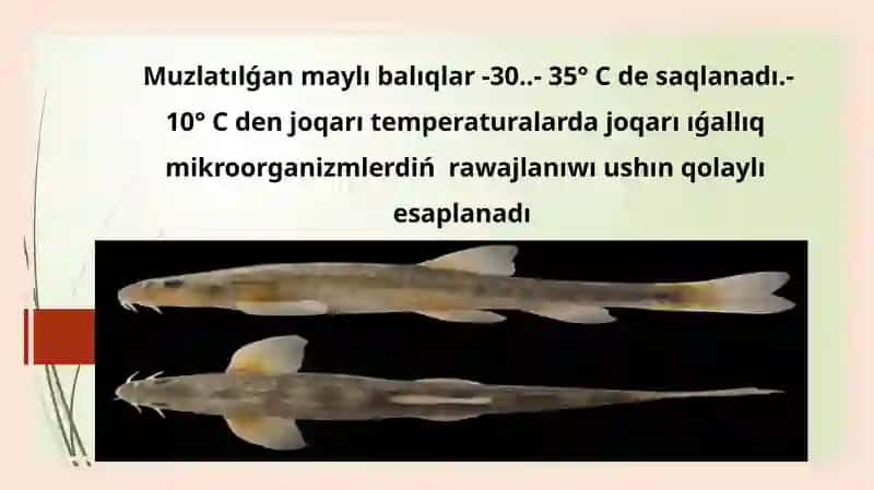Balıq ónimdarlıǵı jane onıńólshewbirlikleri 3