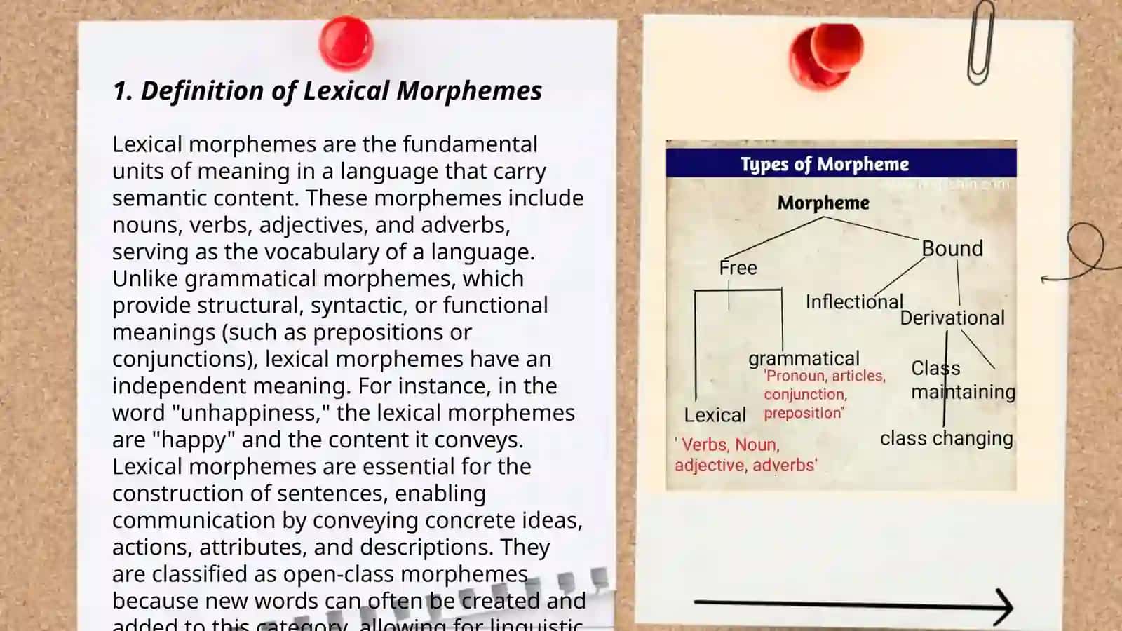 Lexical morphemes 3