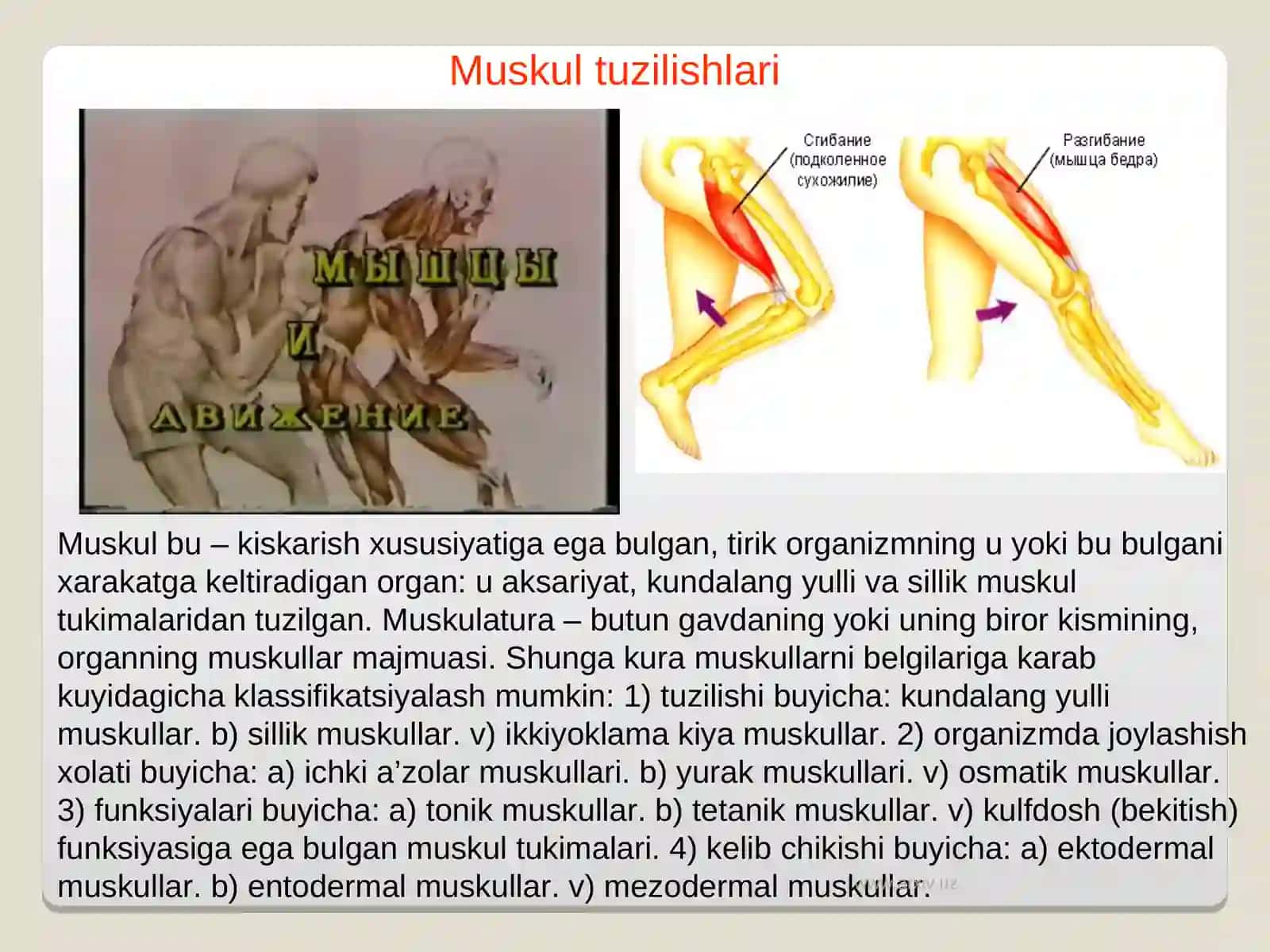 Muskullarning ish quvvatini oshrishda richaklarning ahamiyati 3