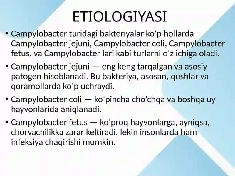 Kampliobakteriozlar 3