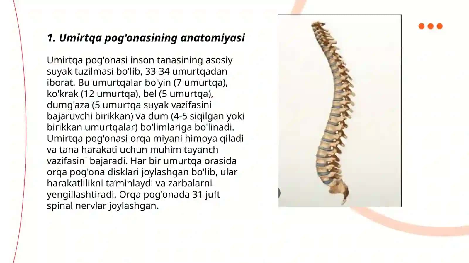 Umirtqa pog'onasi, bôlimlari va kasalliklari(taqdimot) 3