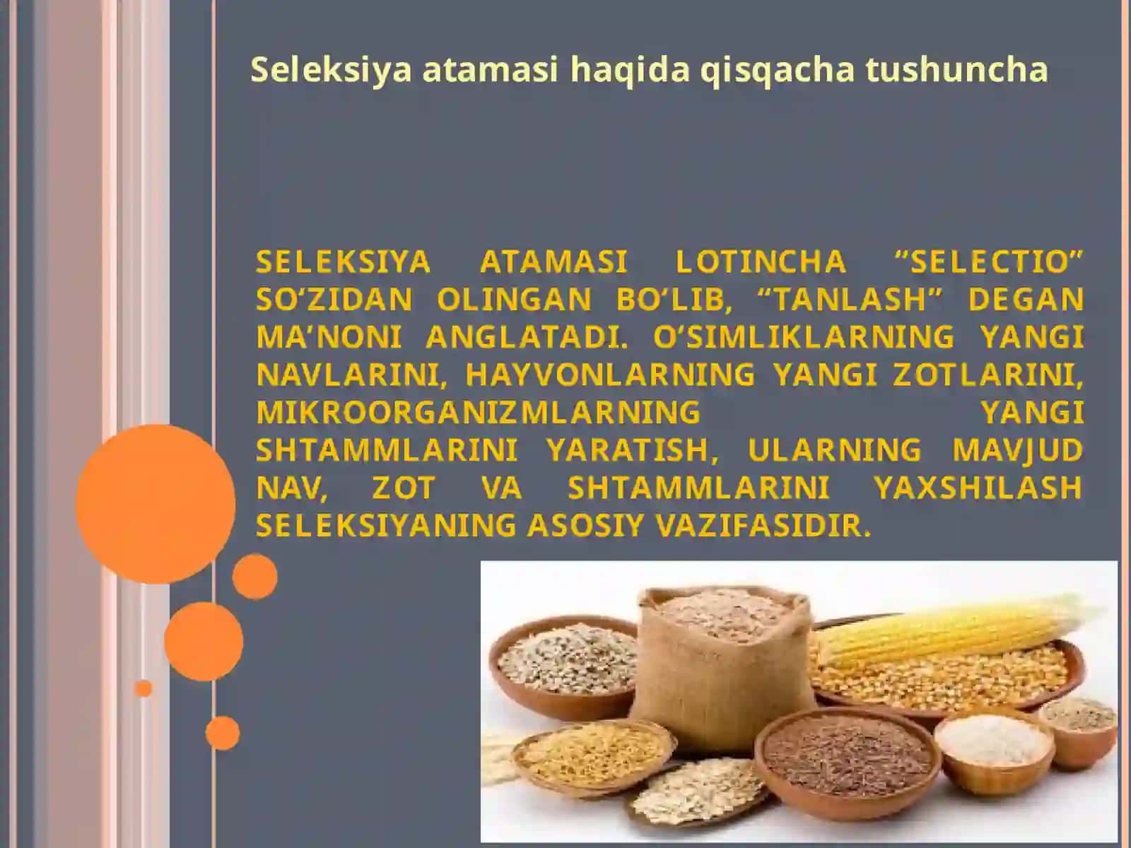Madaniy o‘simliklarning kelib chiqishi va xilma-xillik markazlari 3
