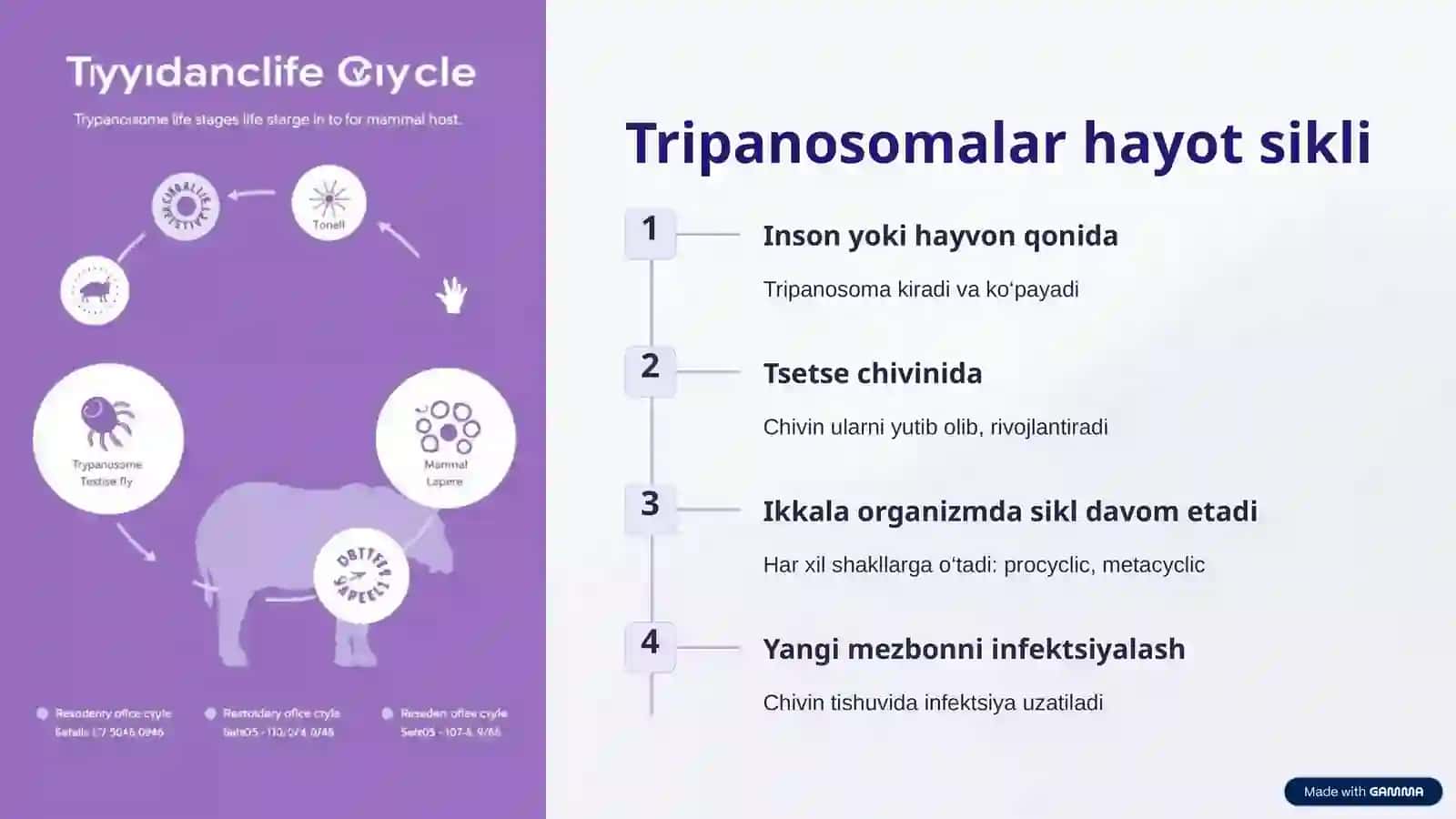 Tripanosomalar avlodi va Tripanosomoz kasalligi 3