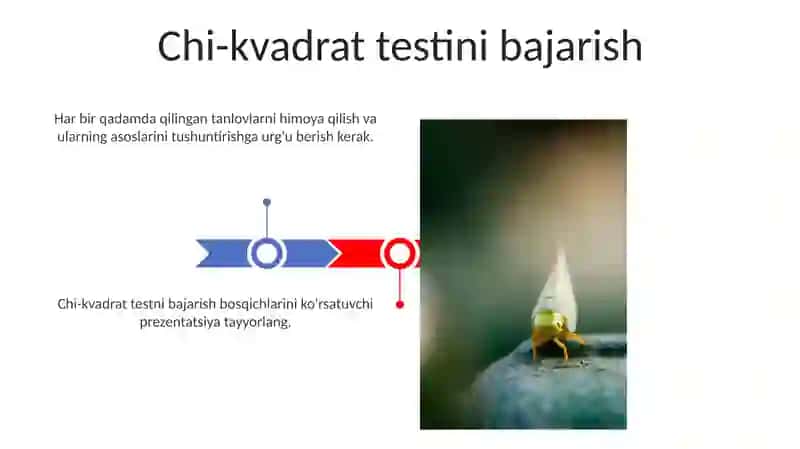 Chi-kvadrat Korrelyatsiya-Regressiya Tahlili Bo'yicha Qadam-ba-Qadam Qo'llanma 3