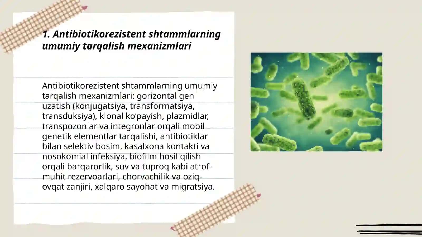 Antibiotikorezistent Mikroorganizmlar Shtammlarining Tarqalishi 3