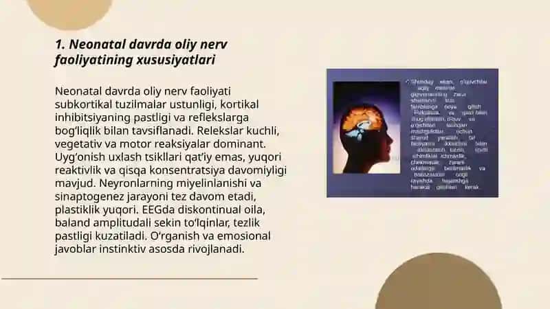 Neonatal davrda oliy nerv faoliyatining xususiyatlari 3