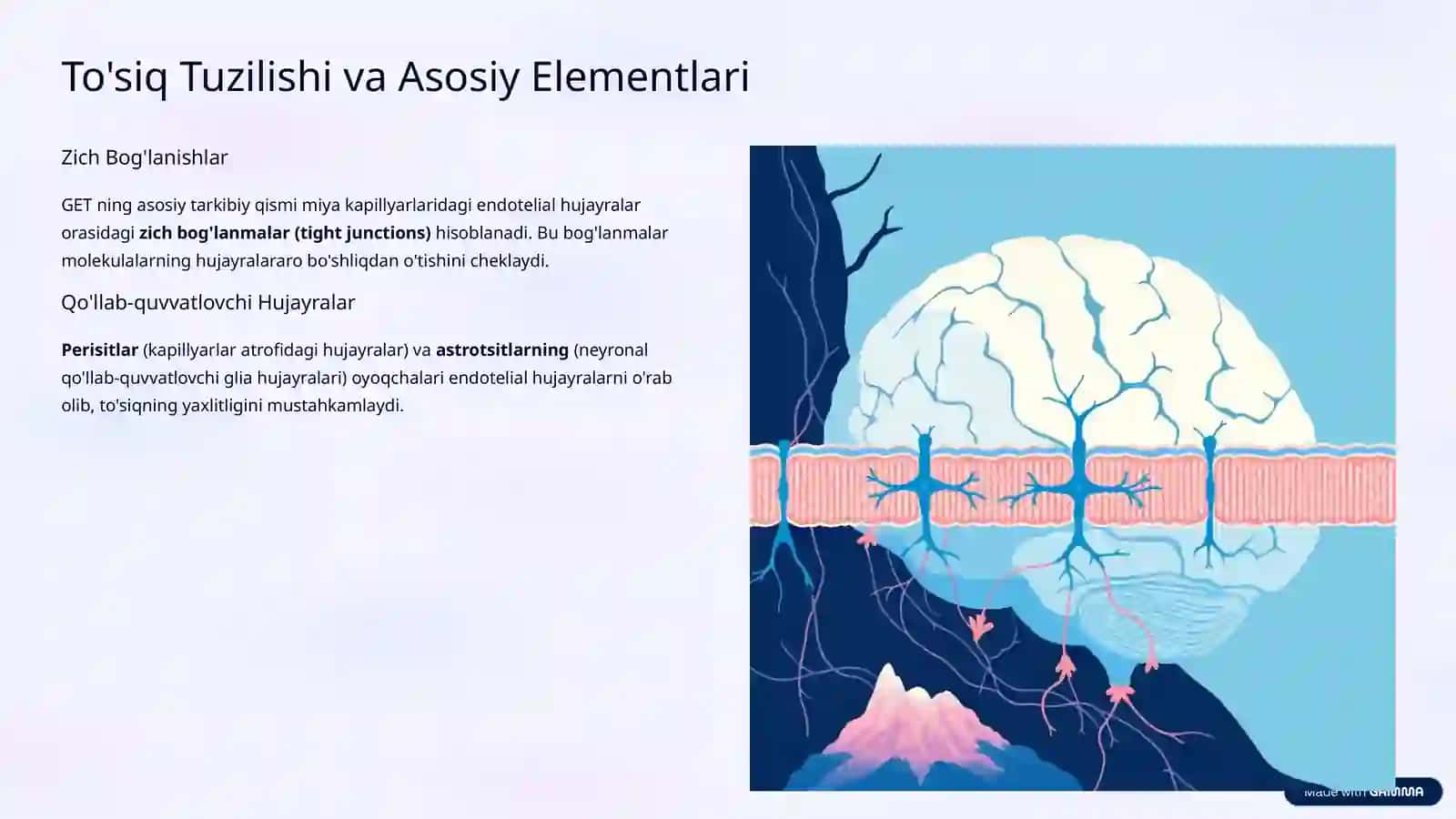 Gemotoensefalik To'siq Gistofiziologiyasi: Bosh Miya Himoyasining Asosi 3