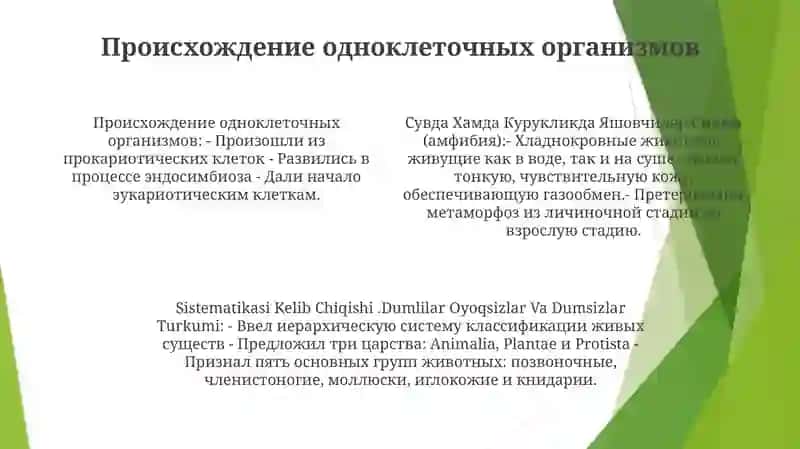 Suvda Hamda Quruqlikda Yashovchilar Sinfi,Sistematikasi Kelib Chiqishi 3