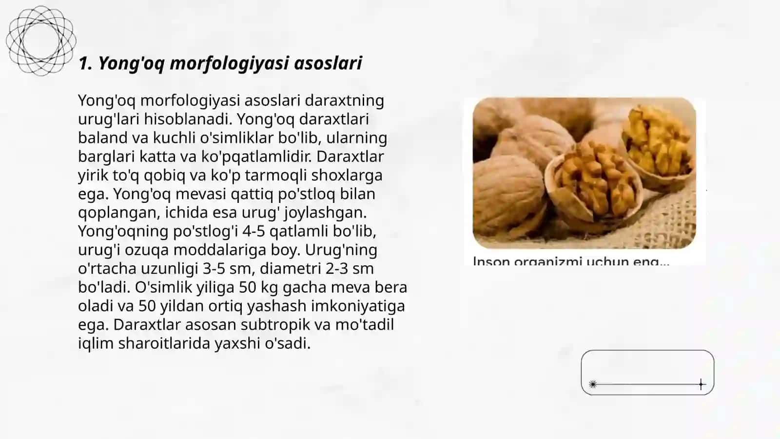Yongʻoq marfalogiyasi va rivojlanishi 3