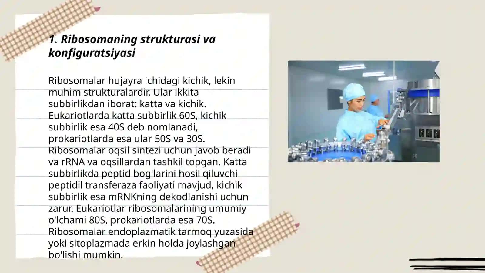 Ribosomaning mexanik va kimyoviy xususiyatlari 3