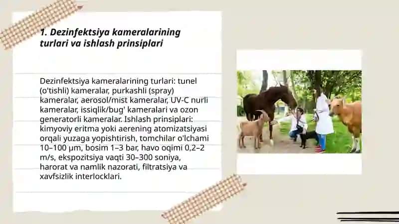 Dezinfekciya kameralar 3