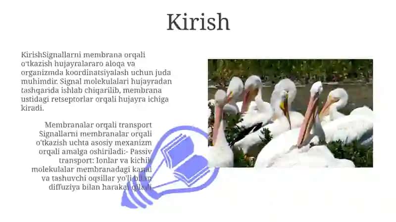 Signallarni Membranalar Orqali O'Tkazilishi 3