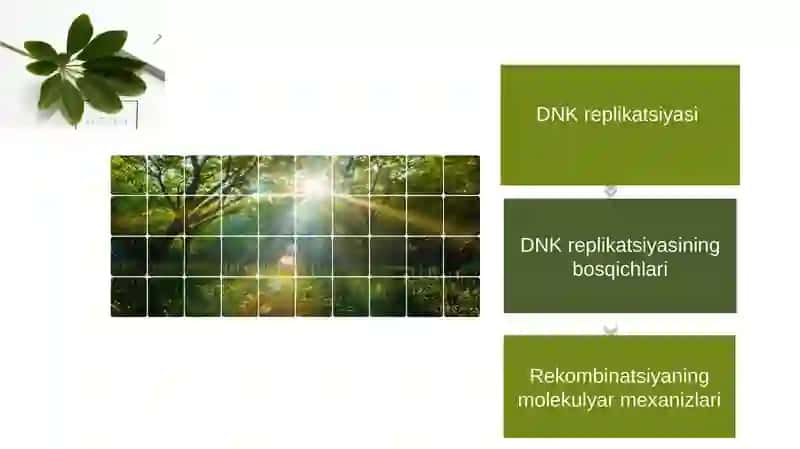 DNKreplikatsiyasi 3