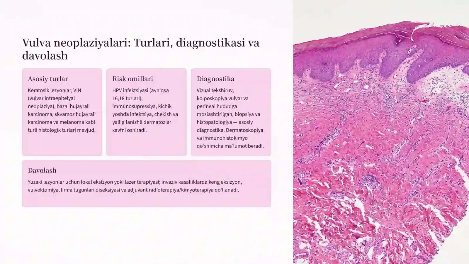 Vulva, Qin, Bachadon Boʻyni va Tanasi Neoplaziyalari 3