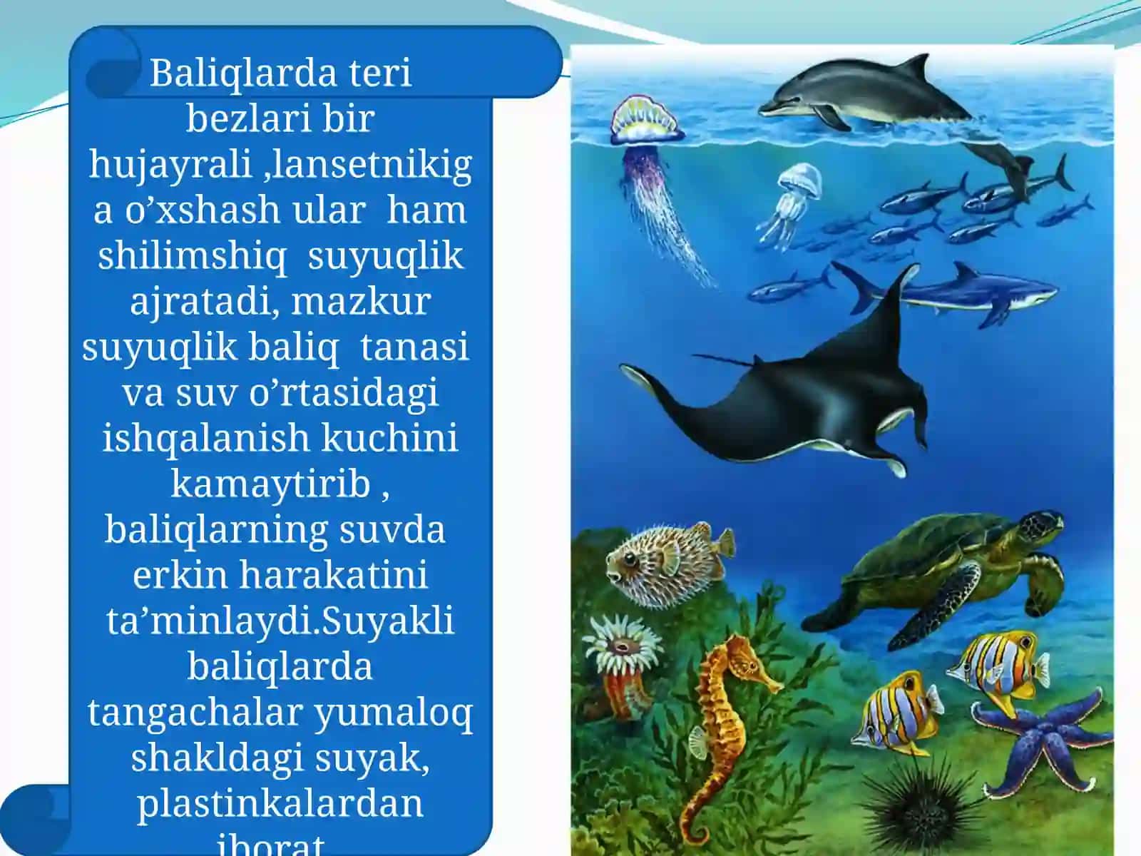 Hayvonlarning tanaqoplamivaharakatorganlari evolutsiyasi 3
