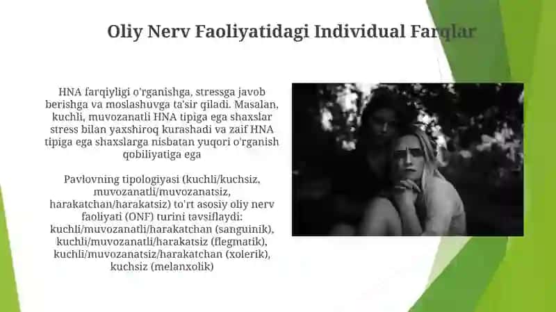 Oliy nerv faoliyatining xususiy tiplari 3