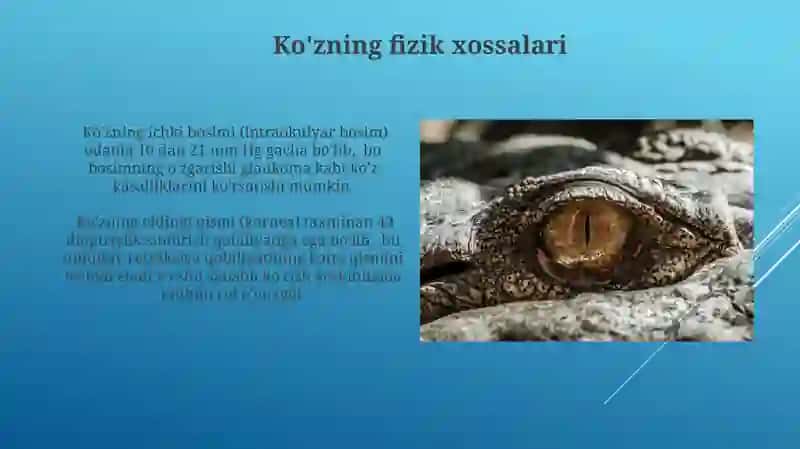 Ko'zning optik sistemasi va fizikaviy xususiyatlari 3