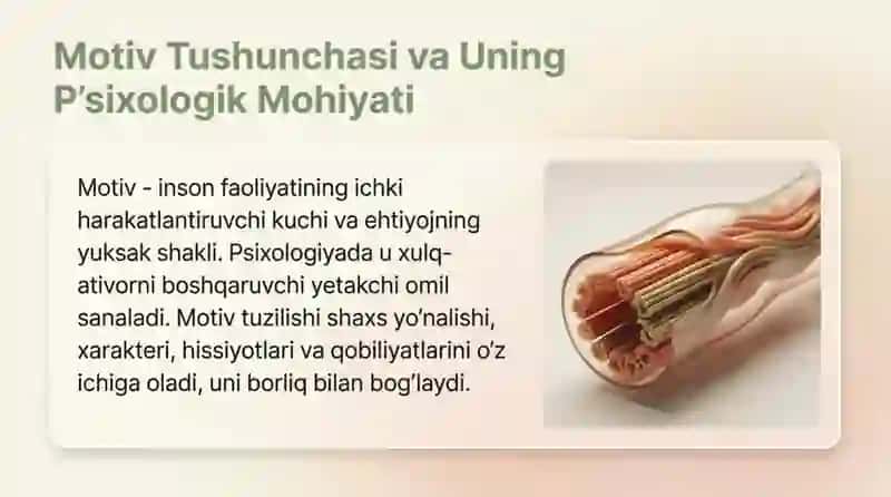 Motivning tuzilishi va funksiyalari 3